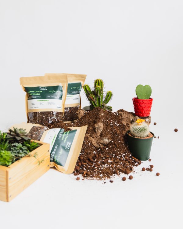 Substrat pour Cactus et Succulentes – Image 2