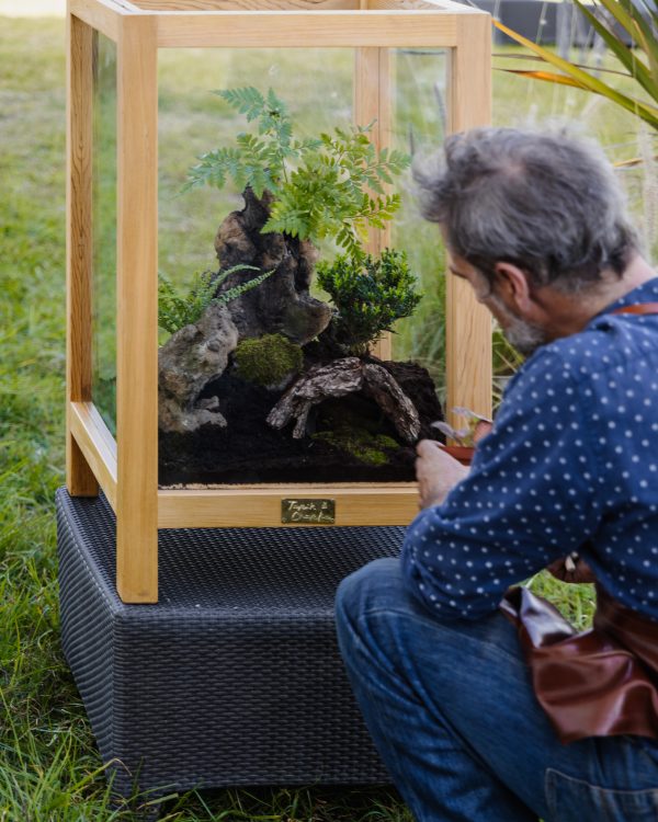 Terrarium Paysager « Nature Enchantée » – Image 5