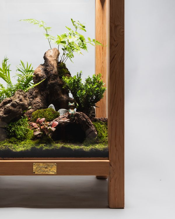 Terrarium Paysager « Nature Enchantée » – Image 2