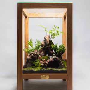 Terrarium Paysager « Nature Enchantée »