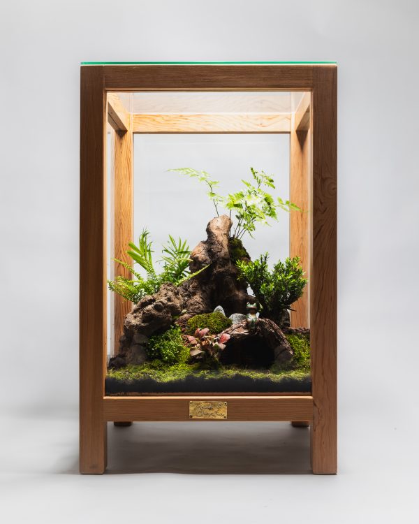 Terrarium Paysager « Nature Enchantée »