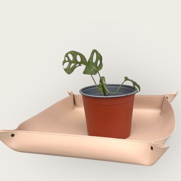 Tapis de rempotage pour plantes d'intérieur – Image 7