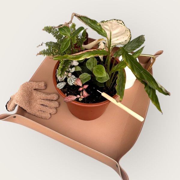 Tapis de rempotage pour plantes d'intérieur – Image 12