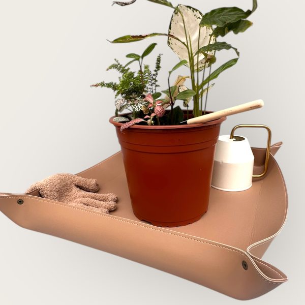 Tapis de rempotage pour plantes d'intérieur – Image 9