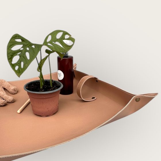 Tapis de rempotage pour plantes d'intérieur