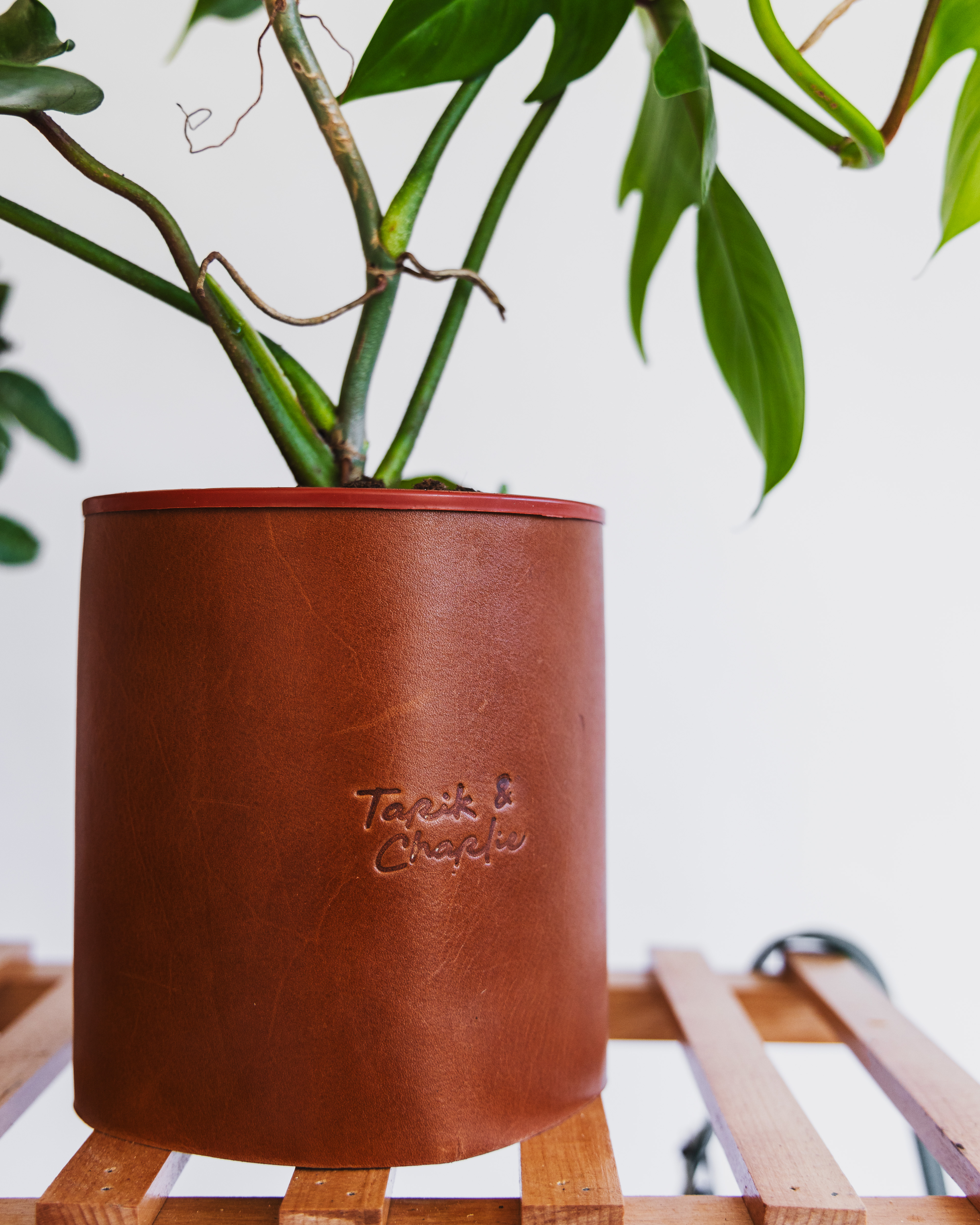 Cache pot en cuir de Fès