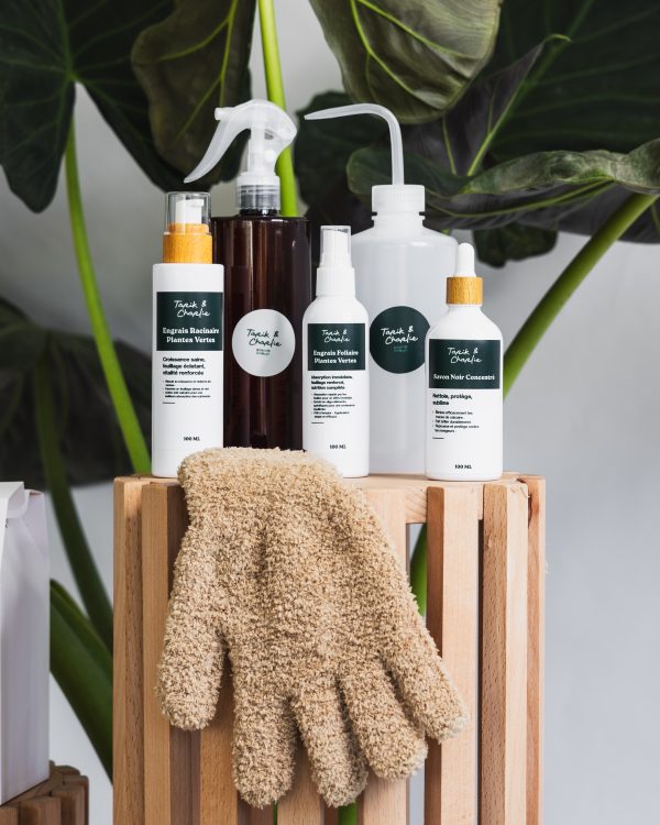 Gants de nettoyage pour plantes – Image 3