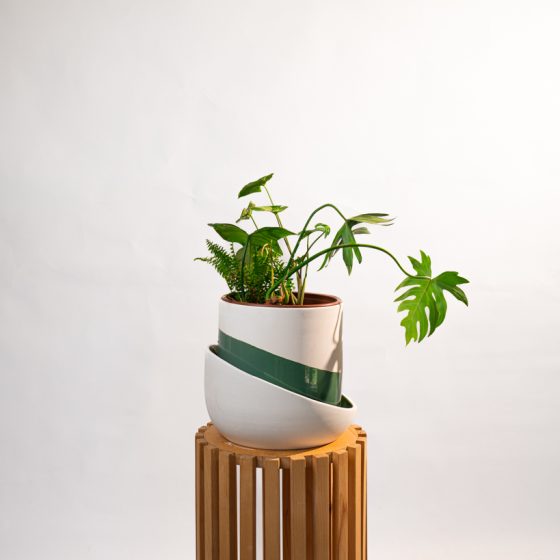 Oasis feuillue