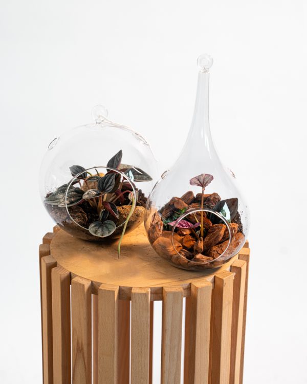 Terrarium sphérique suspendu – Image 3