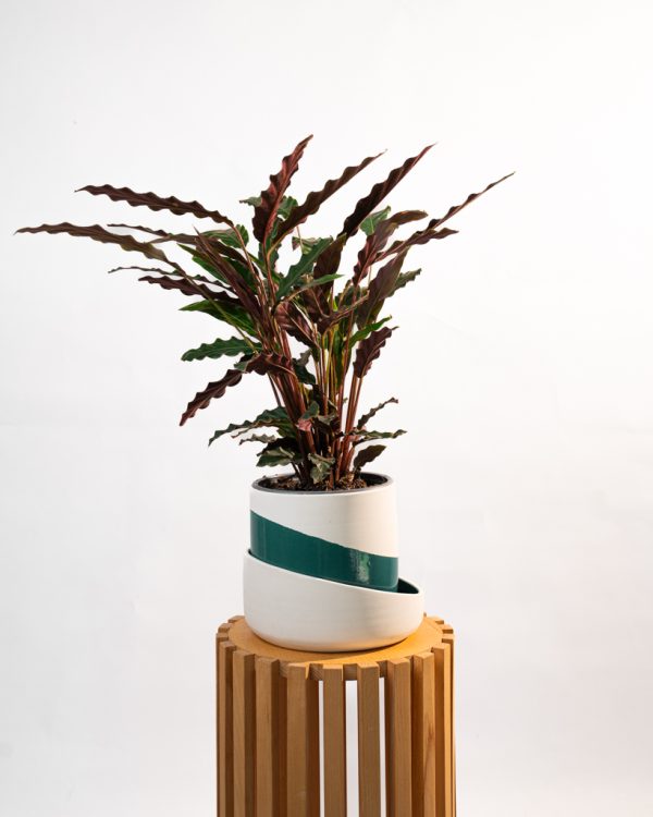Cache pot artisanal, Bleu canard, 22cm – Image 6