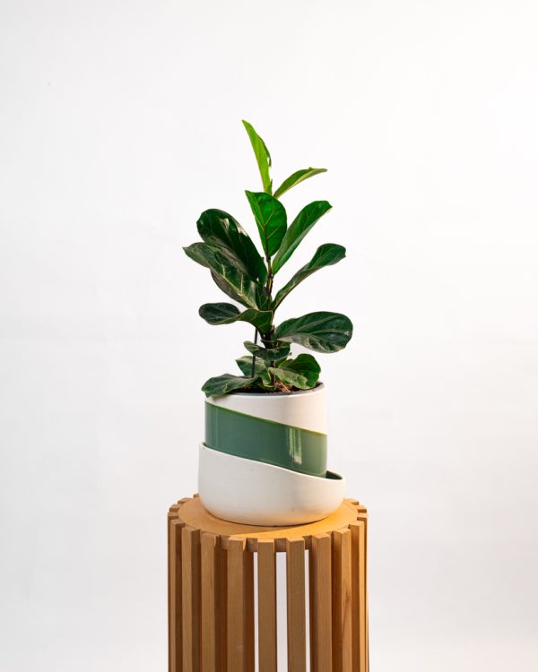 Cache pot artisanal, Vert olive, 13cm – Image 5