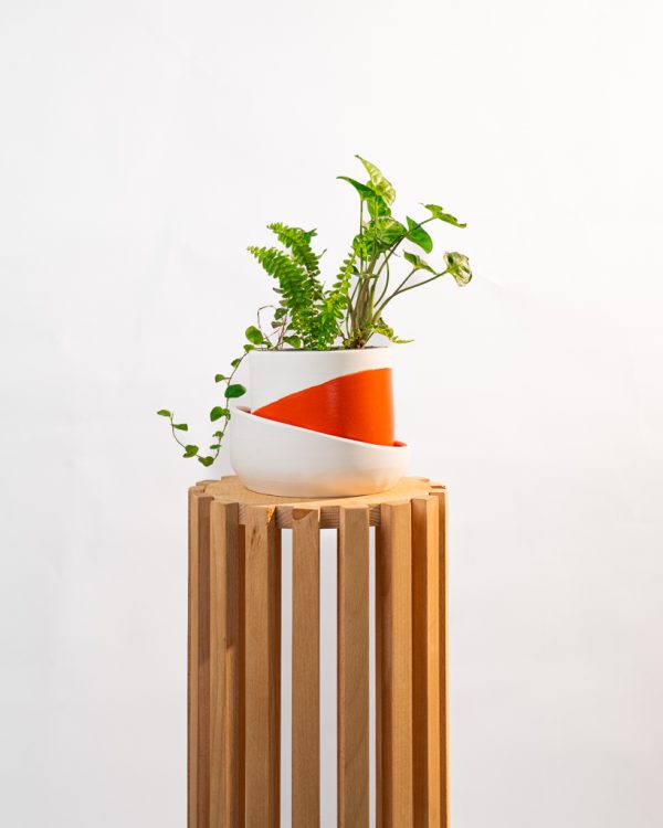 Mini Forêt Ombreuse – Image 3