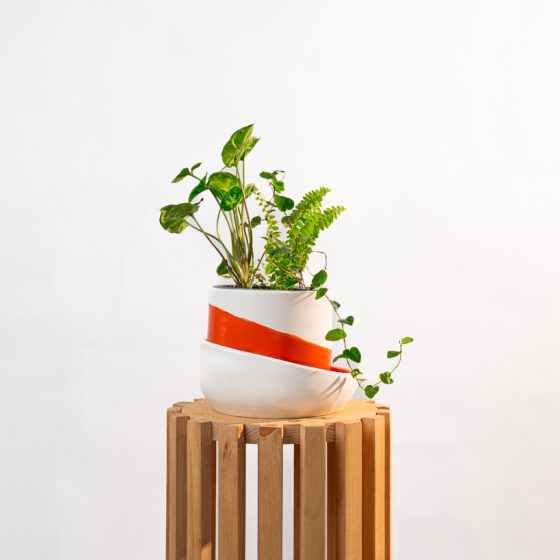 Forêt Ombreuse