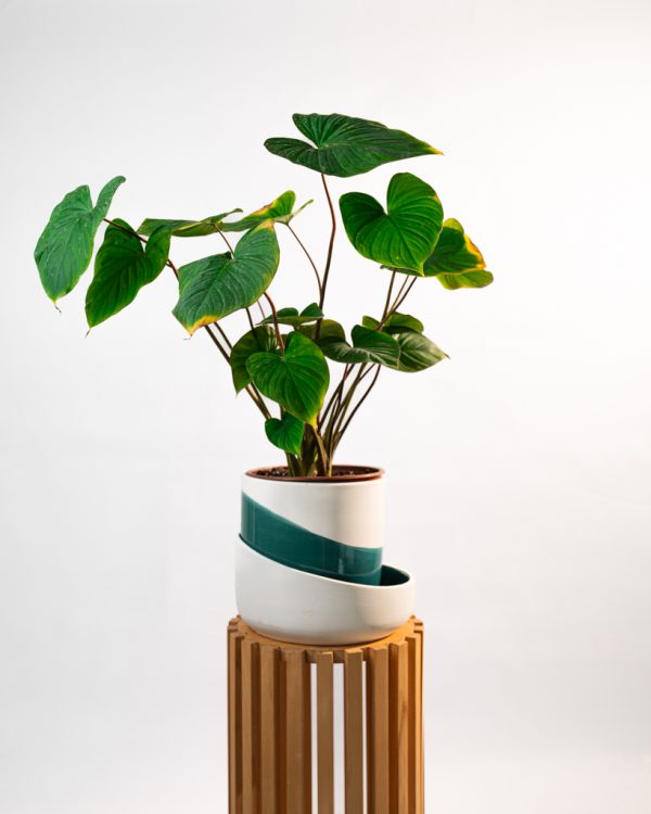 Cache pot artisanal, Bleu canard, 16cm – Image 3