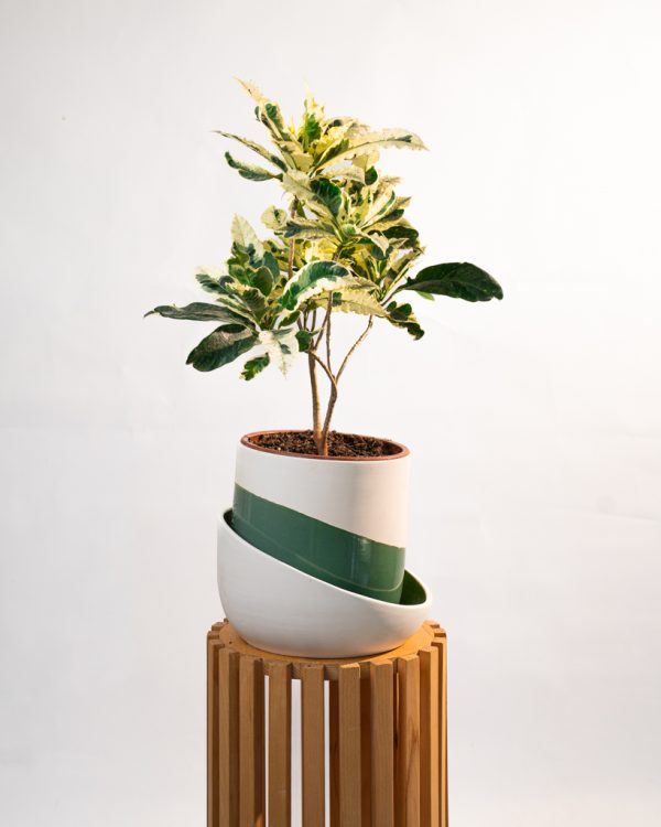 Cache pot artisanal, Vert olive, 22cm – Image 4