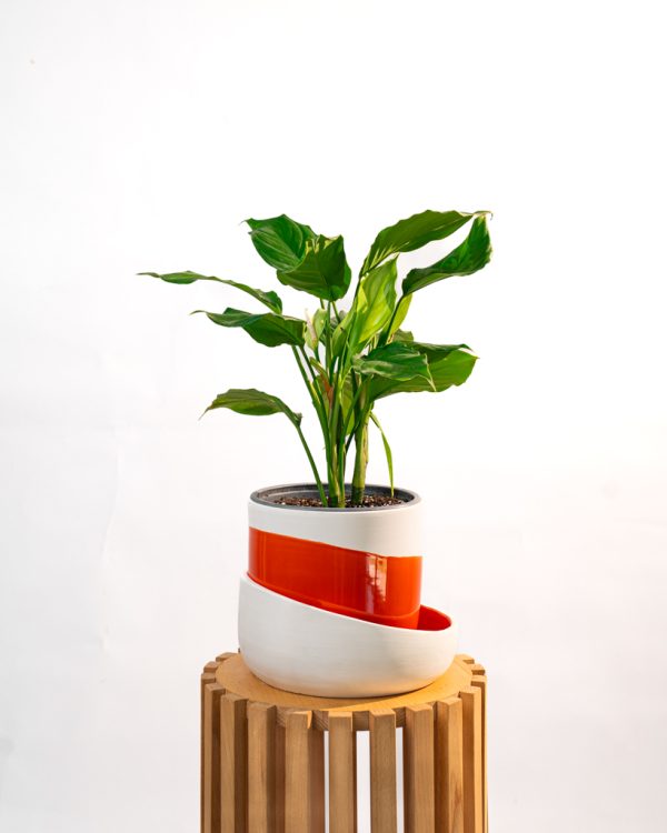 Cache pot artisanal, Rouge orange, 16cm – Image 7