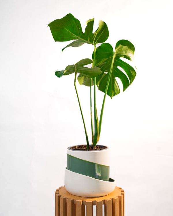 Cache pot artisanal, Vert olive, 22cm – Image 10