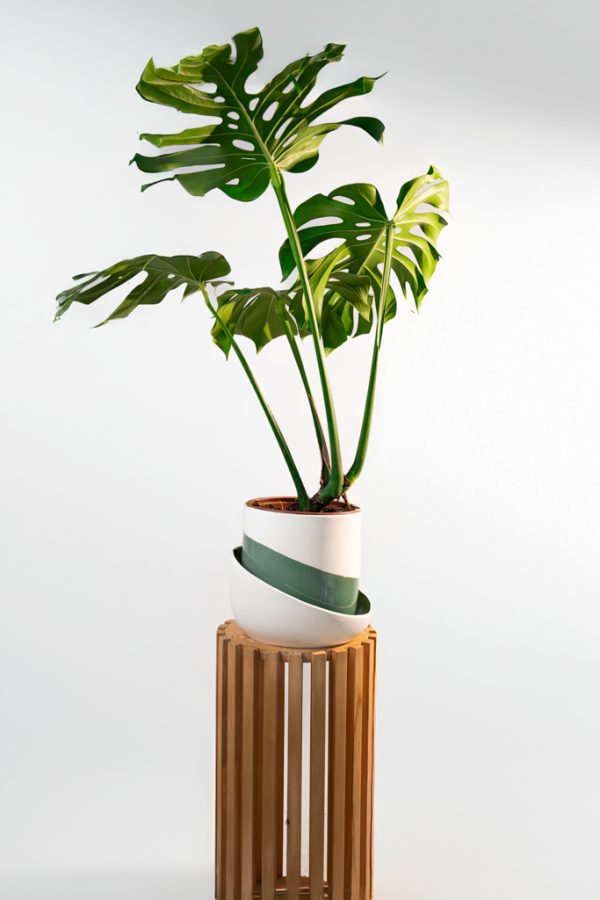 Cache pot artisanal, Vert olive, 22cm – Image 2