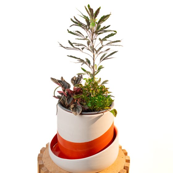 Cache pot artisanal, Rouge orange, 16cm
