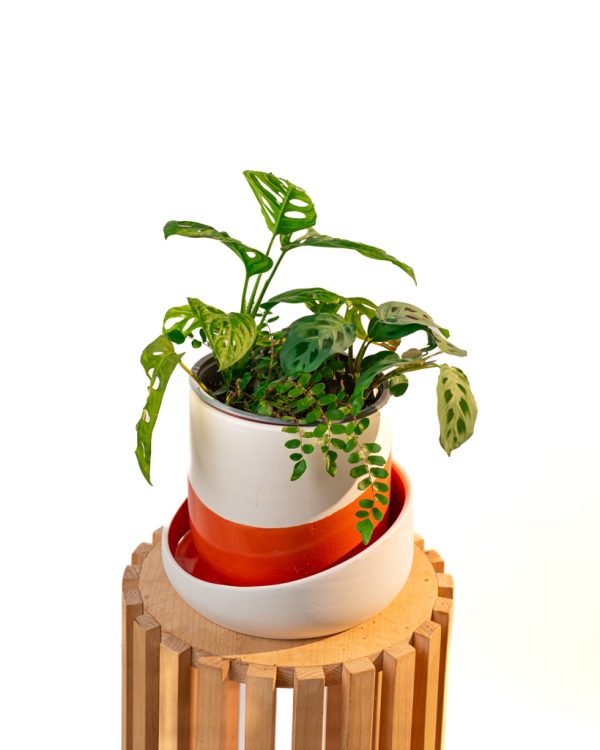 Cache pot artisanal, Rouge orange, 16cm – Image 6