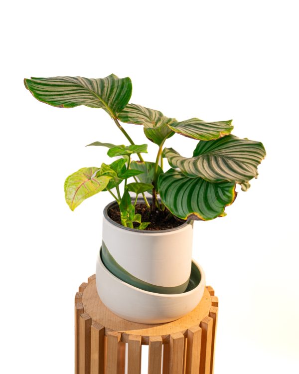 Cache pot artisanal, Vert olive, 22cm – Image 3