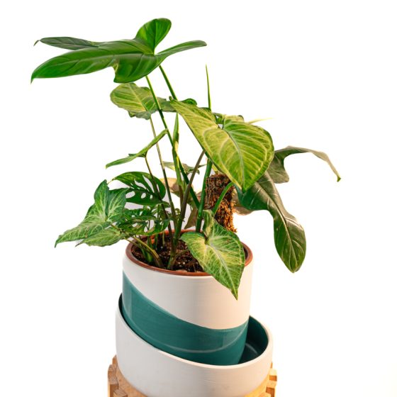 Cache pot artisanal, Bleu canard, 22cm