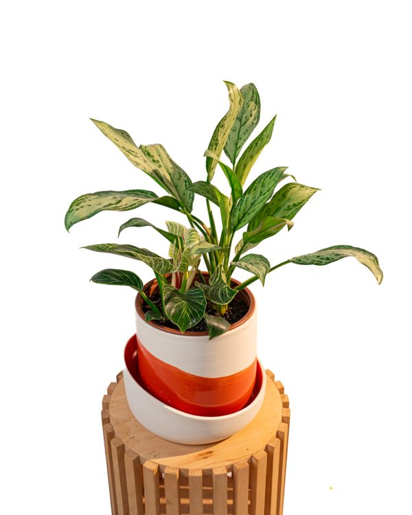Cache pot artisanal, Rouge orange, 16cm – Image 3