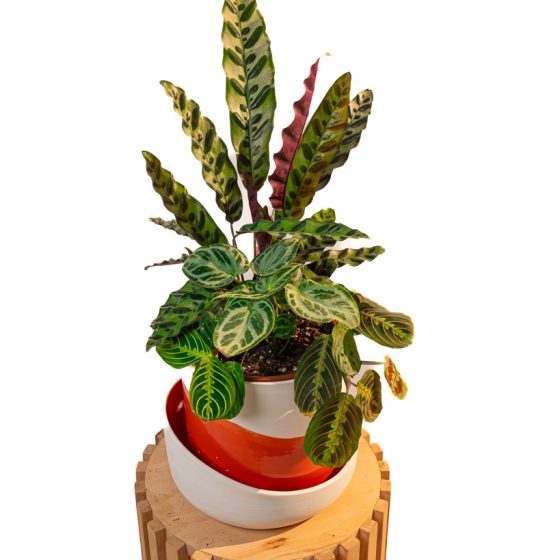 Cache pot artisanal, Rouge orange, 22cm