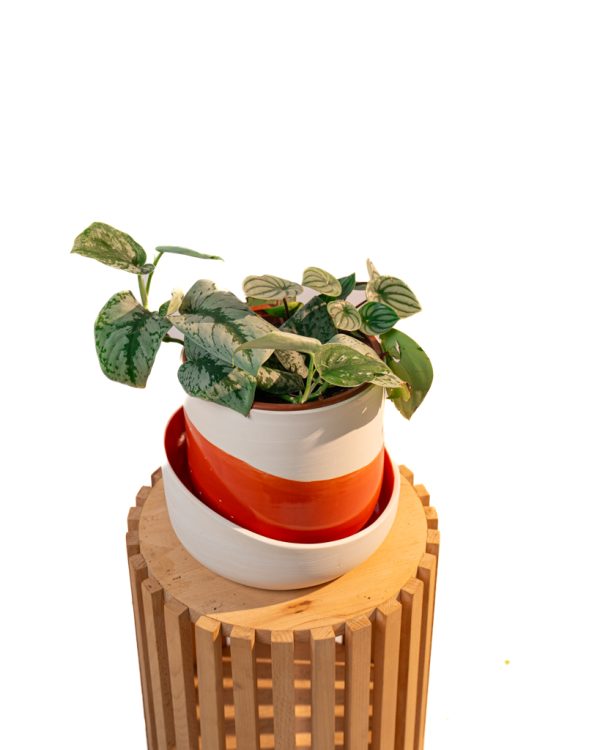 Cache pot artisanal, Rouge orange, 16cm – Image 5