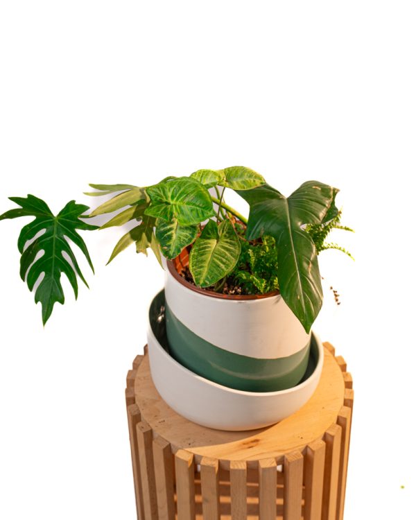 Cache pot artisanal, Vert olive, 22cm – Image 9