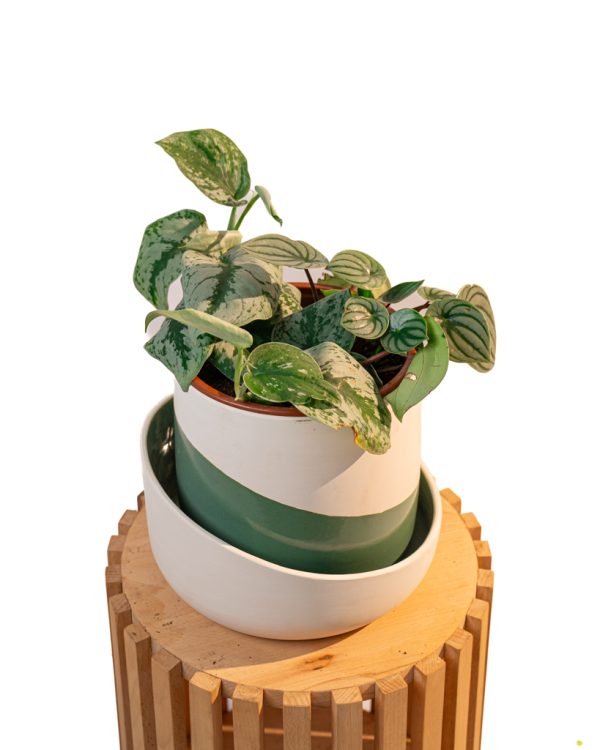 Cache pot artisanal, Vert olive, 22cm – Image 8