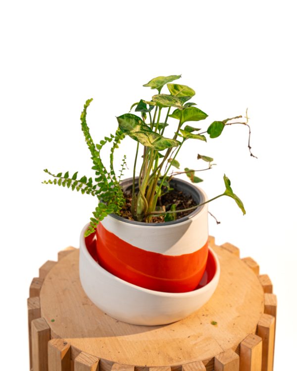 Cache pot artisanal, Rouge orange, 13cm – Image 6