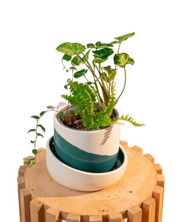 Cache pot artisanal, Bleu canard, 13cm – Image 4